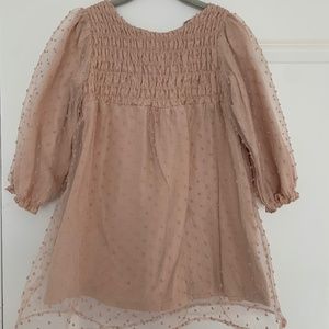 Zara Dress : Tan w/ Sheer Overlay